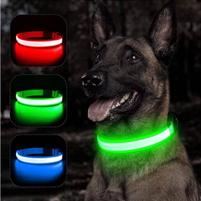 Reflective LED Dog Collar 10-Pack