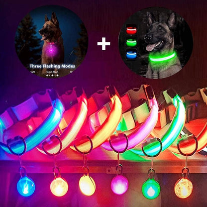 Reflective LED Dog Collar 10-Pack