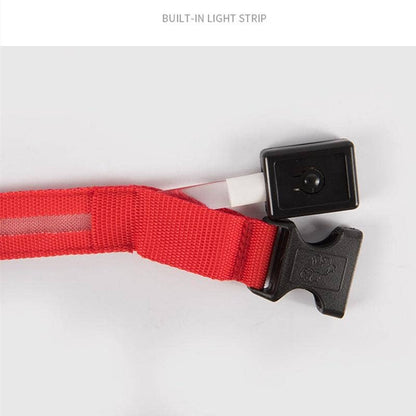 Reflective LED Dog Collar 10-Pack