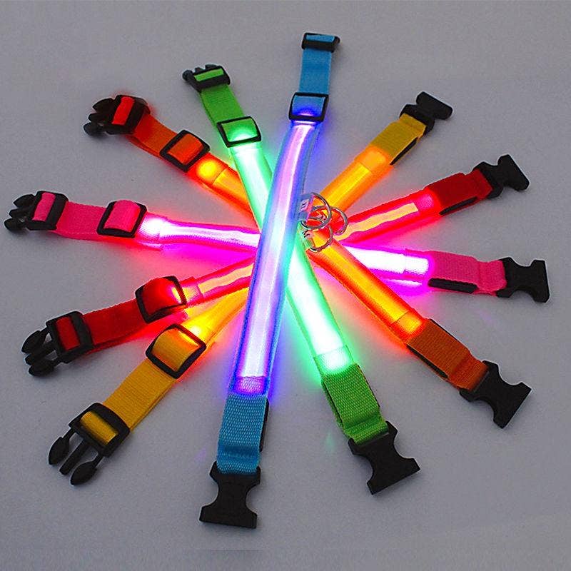 Reflective LED Dog Collar 10-Pack