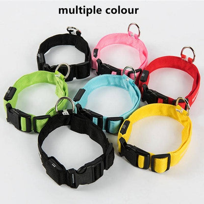 Reflective LED Dog Collar 10-Pack