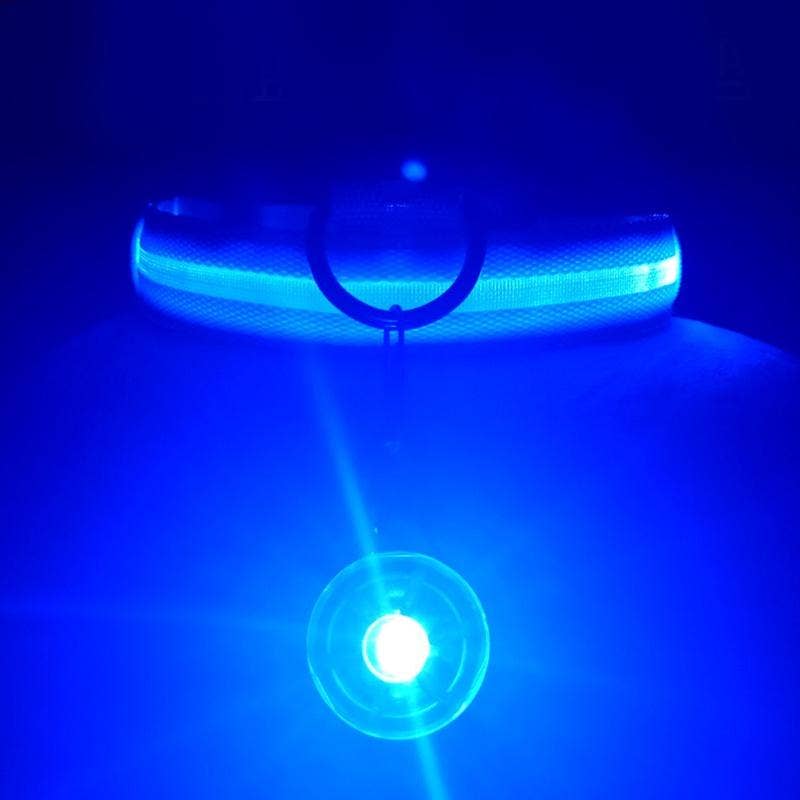 Reflective LED Dog Collar 10-Pack