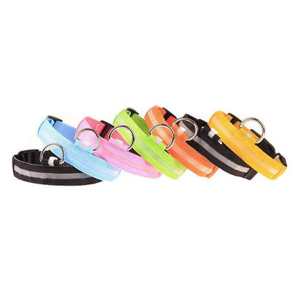 Reflective LED Dog Collar 10-Pack