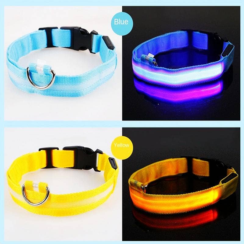 Reflective LED Dog Collar 10-Pack