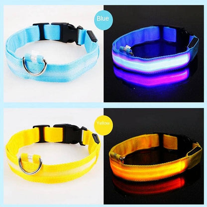 Reflective LED Dog Collar 10-Pack