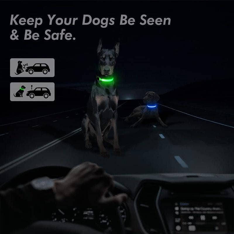 Reflective LED Dog Collar 10-Pack
