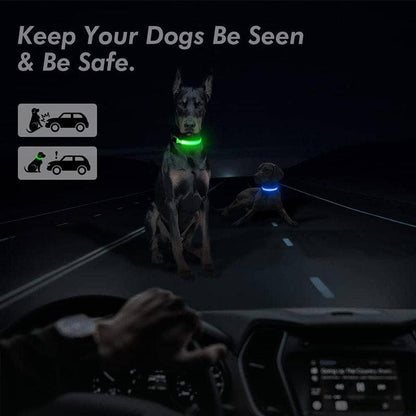 Reflective LED Dog Collar 10-Pack