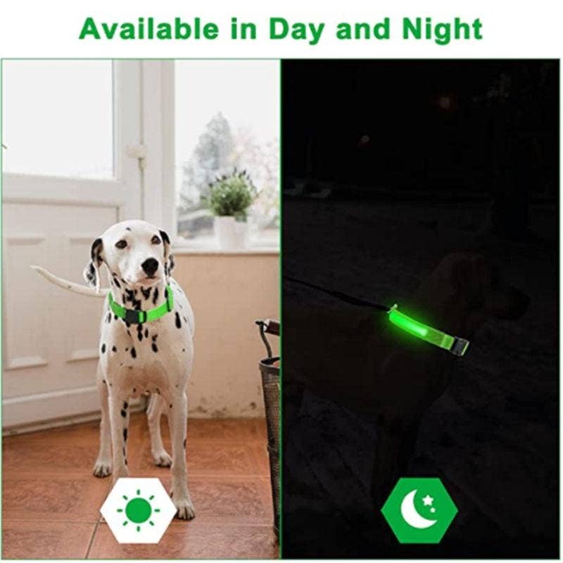 Reflective LED Dog Collar 10-Pack