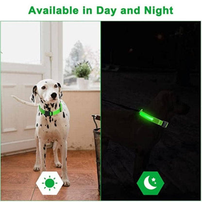 Reflective LED Dog Collar 10-Pack