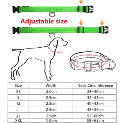 Reflective LED Dog Collar 10-Pack