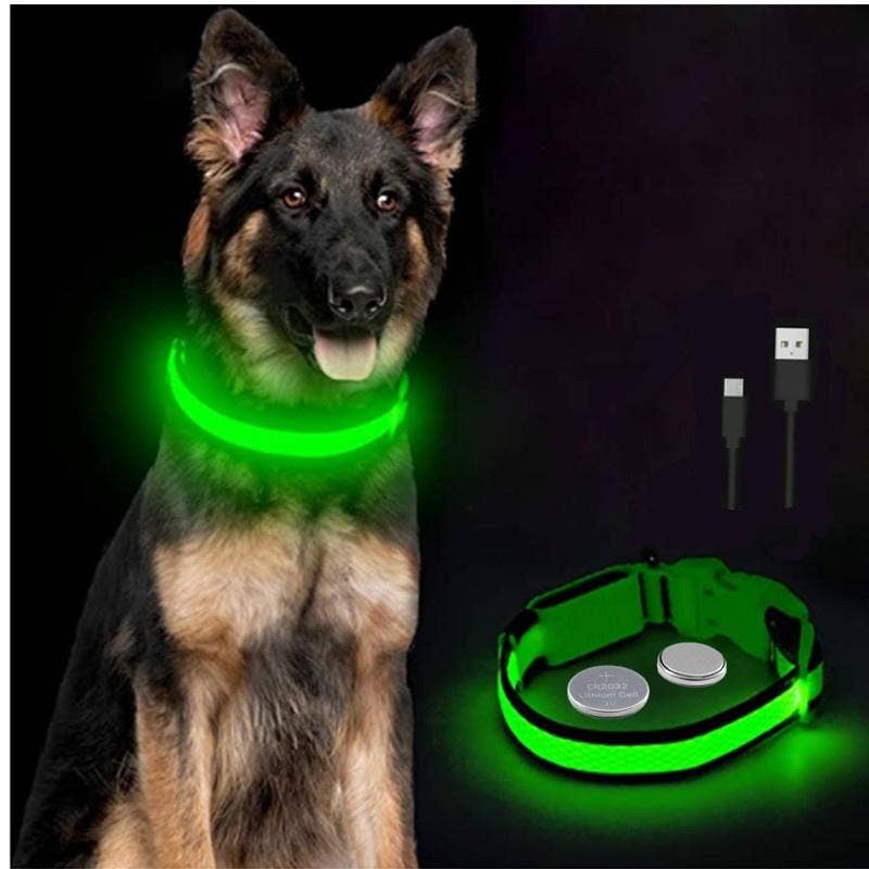 Reflective LED Dog Collar 10-Pack